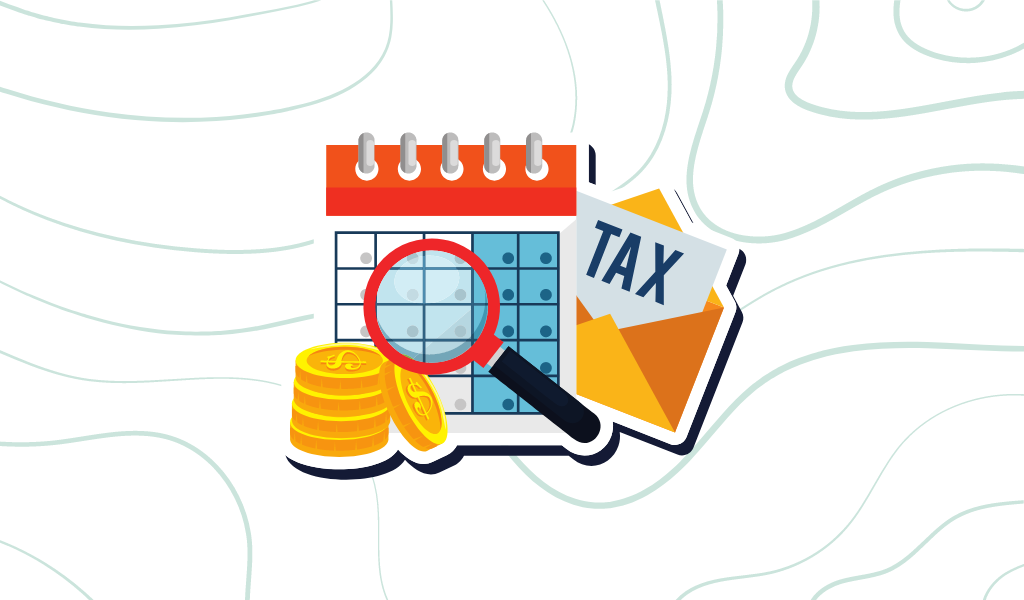 IRS Payments feature Image
